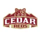 Cedar logo