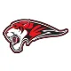 Hurricane logo