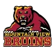 Mountain View logo