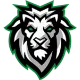 Payson logo