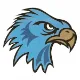 Salem Hills logo