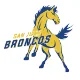 San Juan logo
