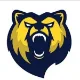 Summit Academy logo