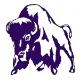 Tooele logo